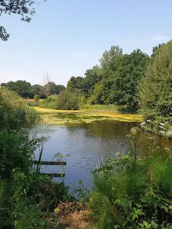 Phyllis Currie Nature Reserve