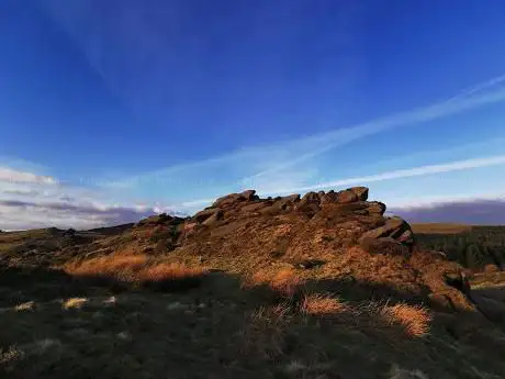 Black Brook Nature Reserve