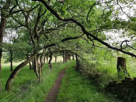 Congleton Edge