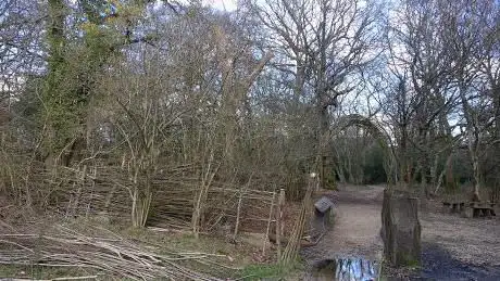 Nower Wood Educational Nature Reserve - Visitors by appointment only