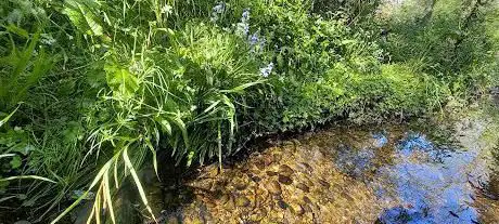 Falcon Lodge Brook