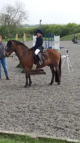 Glebe Farm Equestrian Centre