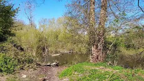 Wolvercote Lakes