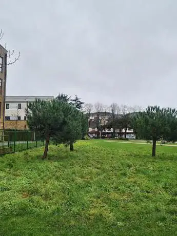 Wildflower Meadow at Jubilee Park