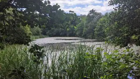 Webber's Pond Nature Reserve