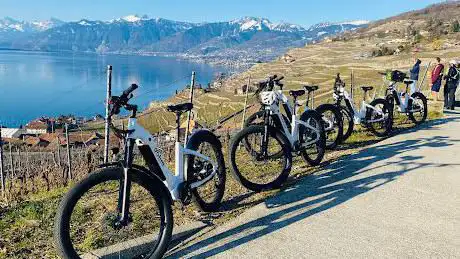 Wine And Ride Lavaux