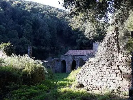 Ermo Di San Guglielmo