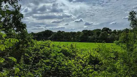 Totteridge Fields