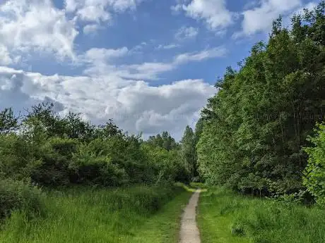 St Julian's Community Woodland