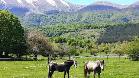 Centro Ippico e Maneggio Le Foche a Pescasseroli