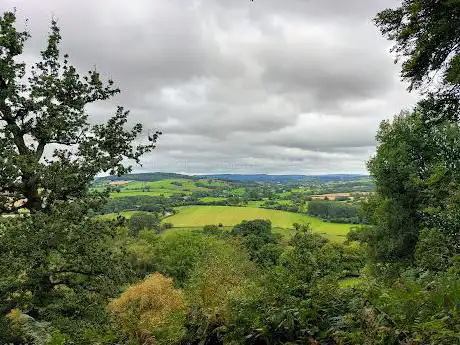 Deodar Glen