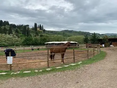 The Valley Horse Riding