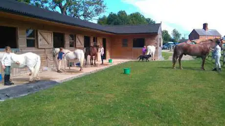 Forton Horse and Pony Riding School