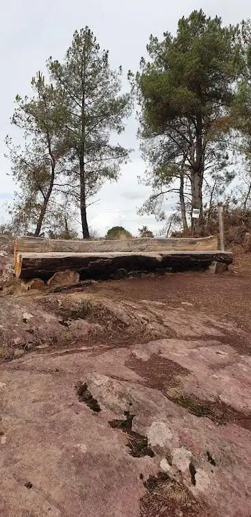 Le banc des loups blancs