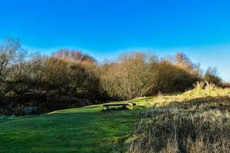 Romney Marsh