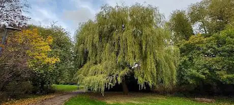 Yeading Brook Open Space