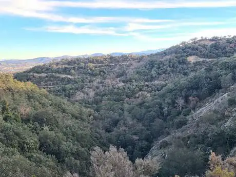 Forêt de maureillas