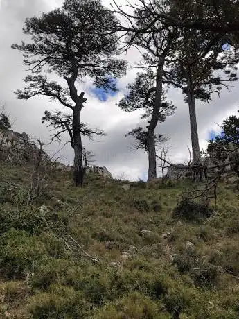 Mirador L'Escaleta