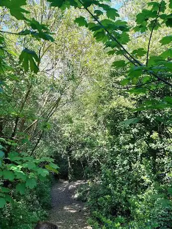 Badsey Lane Nature Reserve