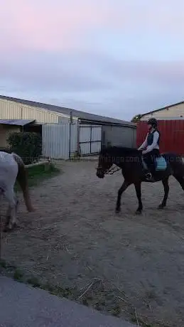 CENTRE EQUESTRE ARCHE EQUILOISIRS