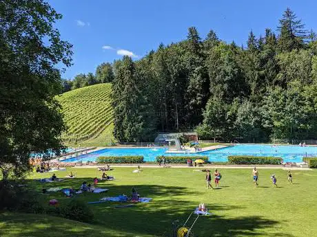 Outdoor pool Between the woods