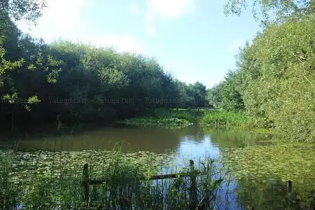 Bunchleys Nature Reserve