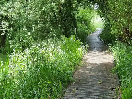 Spencer Road Wetlands - Local Nature Reserve