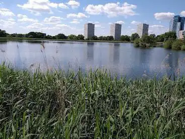 Woodberry Wetlands, London Wildlife Trust