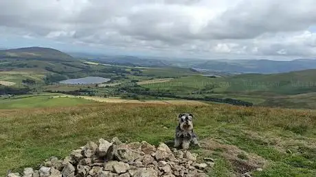 Longlands Fell