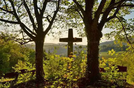 Aussichtsbank und Wegkreuz