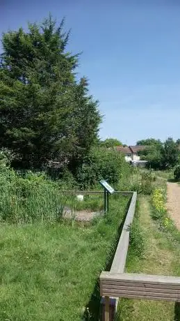 Mendip Wildlife Garden