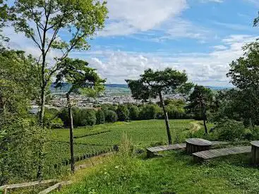 Le site naturel du Mont Bernon