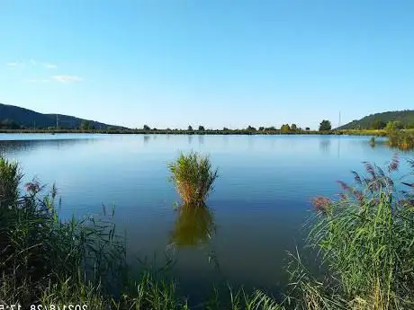 Laghetto Di Villa Del Ferro