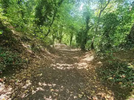 Chellaston Nature Reserve (Sign)