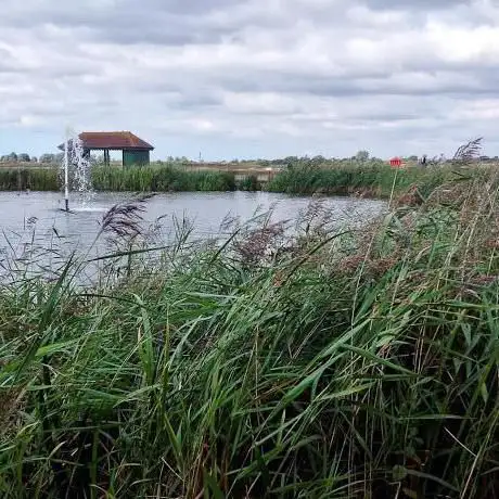 Maldon Marine Lake