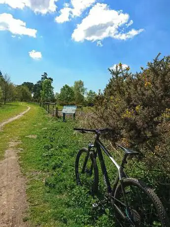 Tunstall Trails