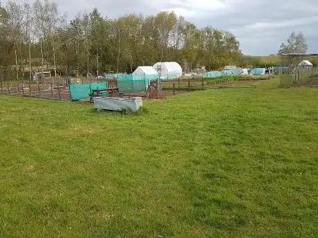 Allum Lane Allotments