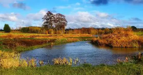 Widbrook Wood (Wiltshire Wildlife Trust)