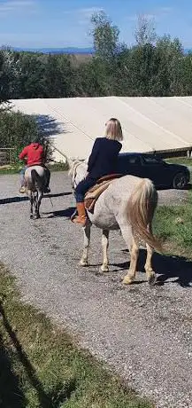 IL GELSOMINO RANCH