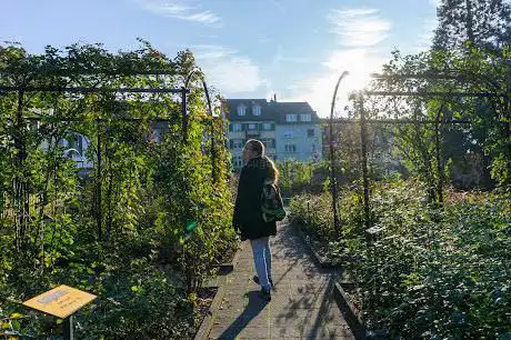 Rosengarten Für Sehbehinderte