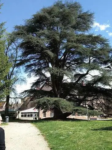 Parc de la Maison pour Tous