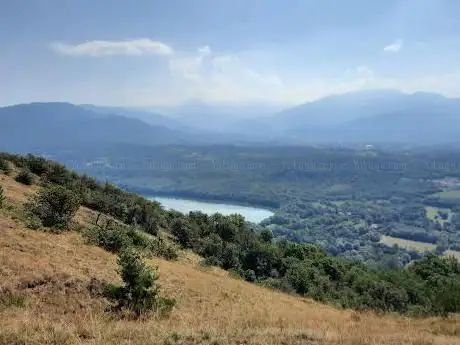 Bosco delle Radici