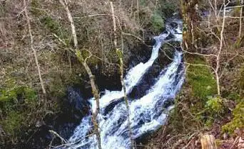 Gorge de la tourmente