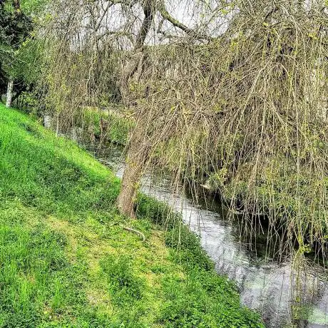 La Fausse Rivière