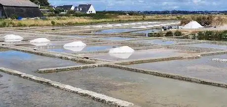 Marais salants en calèche