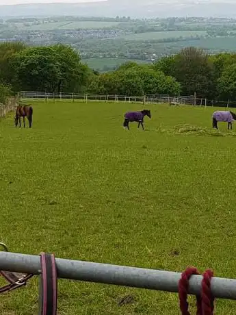 Stone Hall Farm Equestrian Stables