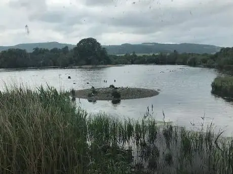 Llyn Coed y Dinas Nature Reserve