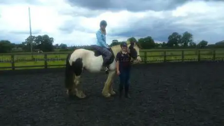 Mursley Hall Farm Equestrian Centre