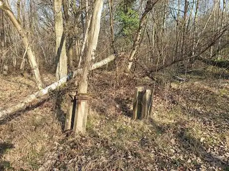 Bois régional de Célie