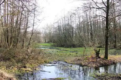 Natuur.huis De Rammelaars